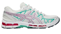 ASICS Kayano 20 Watermelon Edition